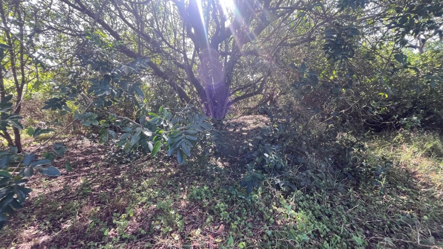 Commercial Property for Sale in Paradise Beach Eastern Cape